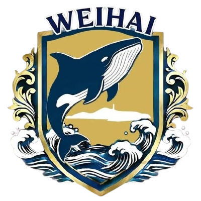 威海队 威海队